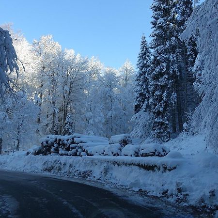 شقة Casa Alpago Spert المظهر الخارجي الصورة